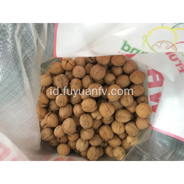 Jual Walnut Berkualitas Tinggi